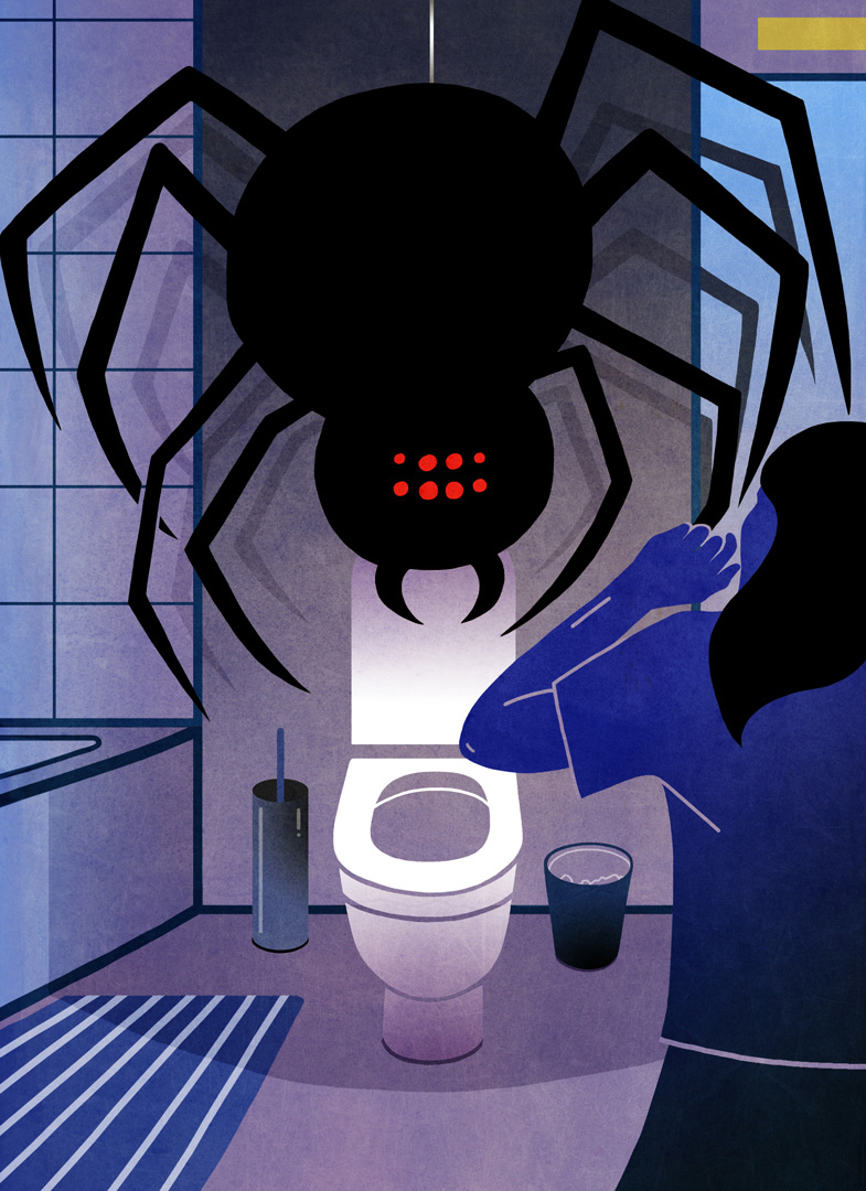 The Giant Spider in the Bathroom A woman surprised by a giant spider in a bathroom