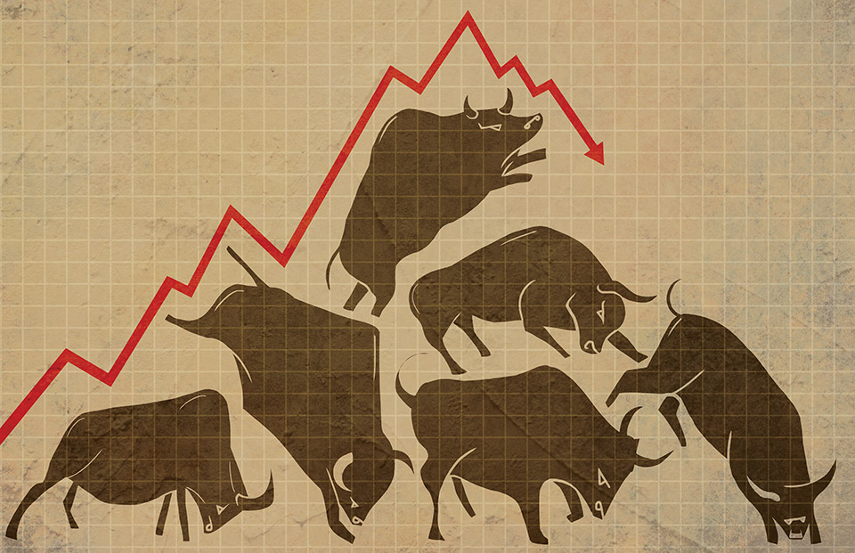 Bull stockmarket